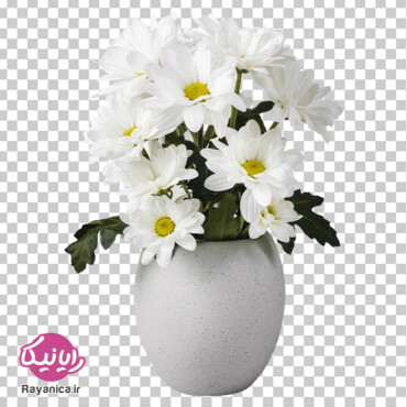 دانلود عکس دوربری شده گلدان گل سفید