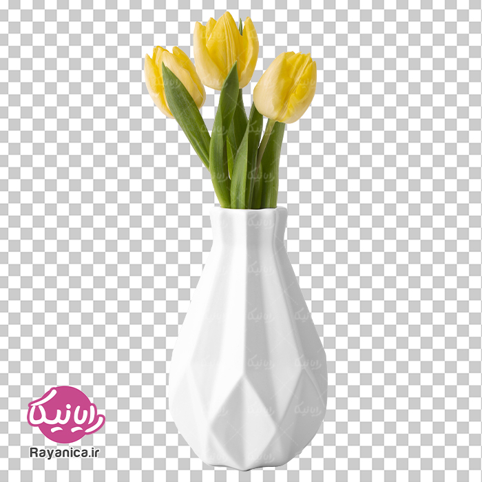دانلود عکس دوربری شده گلدان